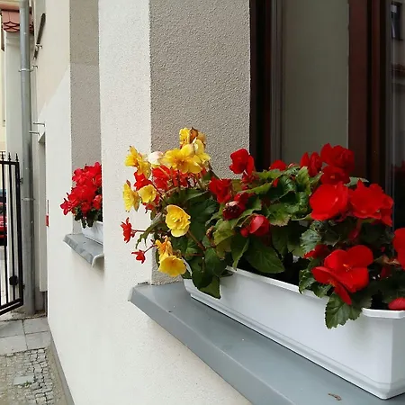 Kamienica Pod Aniolami Aparthotel Breslau