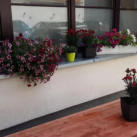 Kamienica Pod Aniolami Wroclaw