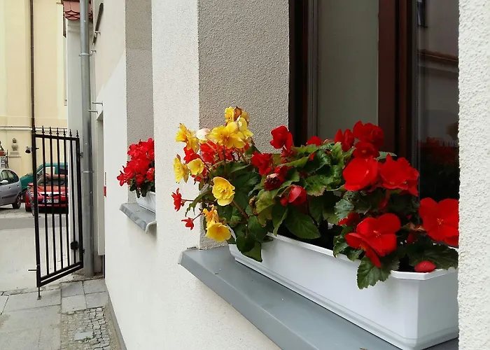 Kamienica Pod Aniolami Апарт-готель Вроцлав